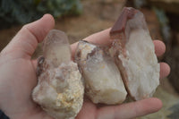 Natural Red Hematoid Quartz Specimens x 12 From Karoi, Zimbabwe - TopRock