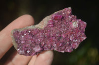 Natural Pink Salrose Cobaltion Dolomite Specimens  x 6 From Congo - Toprock Gemstones and Minerals 