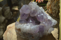 Natural Jacaranda Amethyst Cluster x 1 From Mumbwa, Zambia - TopRock