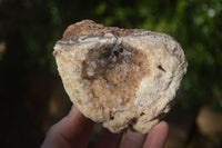 Natural Golden Limonite Quartz Clusters x 3 From Zambia