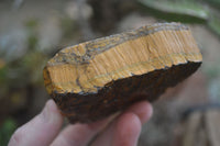 Natural Golden Blue Tigers Eye Specimens  x 2 From Prieska, South Africa - TopRock