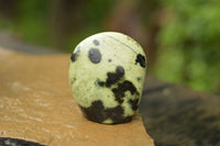 Polished Leopard Stone Standing Free Forms  x 12 From Nyanga & Shamva, Zimbabwe - TopRock