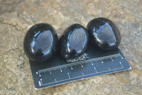 Polished Schorl Black Tourmaline Palm Stones  x 14 From Madagascar - Toprock Gemstones and Minerals 