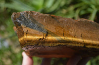 Natural Golden Blue Tigers Eye Specimens  x 2 From Prieska, South Africa - TopRock