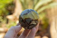 Polished Septarian (Calcite & Aragonite) Spheres  x 5 From Mahajanga, Madagascar - TopRock