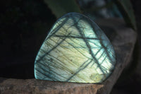 Polished Labradorite Standing Free Forms With Intense Full Face Flash  x 6 From Tulear, Madagascar - Toprock Gemstones and Minerals 