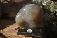 Polished Agate Egg & Nodule  x 2 From Madagascar