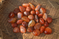 Polished  Mini Carnelian Agate Tumble Stones  x 1 Kg Lot From Madagascar