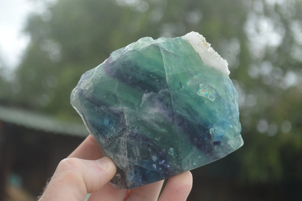 Polished Watermelon Fluorite Standing Slabs  x 4 From Namibia - TopRock