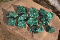 Natural Chatoyant Silky Malachite Specimens  x 12 From Kasompe, Congo