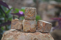 Natural Limonite Iron Pseudomorph Cubic Crystals  x 35 From Lydenburg, South Africa