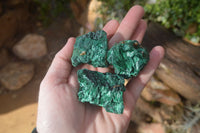 Natural Chatoyant Silky Malachite Specimens  x 12 From Kasompe, Congo