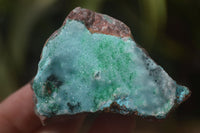 Natural Drusy Coated Chrysocolla Dolomite Specimens x 6 From Congo