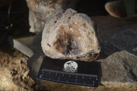 Natural Golden Limonite Quartz Clusters x 3 From Zambia