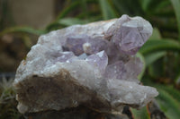 Natural Jacaranda Amethyst Cluster x 1 From Mumbwa, Zambia - TopRock