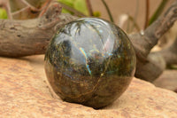 Polished Extra Large Labradorite Sphere & Palisandre Rose Wood Stand  x 1 From Tulear, Madagascar - TopRock