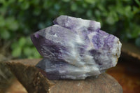 Natural Stone Sealed Amethyst Clusters  x 6 From Zambia - Toprock Gemstones and Minerals 