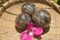 Polished Morion Smokey Quartz Spheres x 3 From Madagascar - TopRock