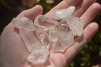 Natural Single Clear Quartz Crystals  x 70 From Zambia - TopRock