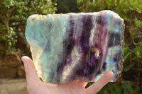 Polished Semi Translucent Watermelon Fluorite Slices x 2 From Uis, Namibia - TopRock