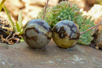 Polished Septarian (Calcite & Aragonite) Spheres  x 5 From Mahajanga, Madagascar - TopRock