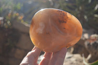 Polished Agate Egg & Nodule x 2 From Madagascar