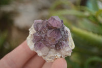 Natural Selected Mixed Spirit Quartz Clusters  x 35 From Boekenhouthoek, South Africa - TopRock