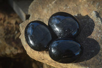 Polished Schorl Black Tourmaline Palm Stones  x 14 From Madagascar - Toprock Gemstones and Minerals 