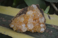 Natural Golden Limonite / Lemonite Quartz Clusters  x 12 From Zambia - TopRock