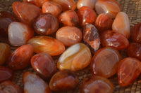 Polished  Mini Carnelian Agate Tumble Stones  x 1 Kg Lot From Madagascar