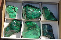 Polished Malachite Free Forms With Stunning Flower & Banding Patterns x 6 From Congo - TopRock