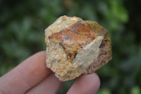 Natural Limonite Iron Pseudomorph Cubic Crystals  x 35 From Lydenburg, South Africa