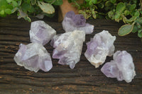 Natural Jacaranda Amethyst Clusters  x 6 From Mumbwa, Zambia - Toprock Gemstones and Minerals 