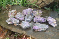 Natural Stichtite & Serpentine Cobbed Specimens  x 12 From Barberton, South Africa - Toprock Gemstones and Minerals 