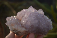 Natural Spirit Amethyst Quartz Clusters x 4 From Boekenhouthoek, South Africa