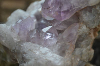 Natural Jacaranda Amethyst Cluster x 1 From Mumbwa, Zambia - TopRock