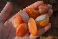 Polished  Mini Carnelian Agate Tumble Stones  x 1 Kg Lot From Madagascar