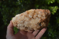 Natural Golden Limonite Quartz Clusters x 3 From Zambia