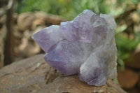 Natural Jacaranda Amethyst Clusters  x 3 From Mumbwa, Zambia - Toprock Gemstones and Minerals 