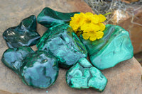 Polished Malachite Free Forms With Stunning Flower & Banding Patterns x 6 From Congo - TopRock