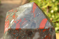 Polished Huge Bloodstone (Seftonite) Point With Pyrite Specks  x 1 From Swaziland - TopRock