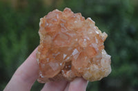 Natural Golden Limonite / Lemonite Quartz Clusters  x 12 From Zambia - TopRock