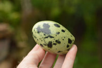 Polished Leopard Stone Standing Free Forms  x 12 From Nyanga & Shamva, Zimbabwe - TopRock