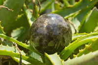 Polished Morion Smokey Quartz Spheres x 3 From Madagascar - TopRock