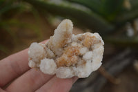 Natural Selected Mixed Spirit Quartz Clusters  x 35 From Boekenhouthoek, South Africa - TopRock