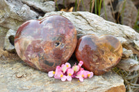 Polished Petrified Red Podocarpus Wood Hearts  x 2 From Mahajanga, Madagascar - TopRock