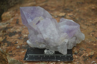 Natural Jacaranda Amethyst Clusters  x 3 From Mumbwa, Zambia - Toprock Gemstones and Minerals 