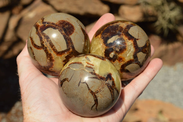 Polished Septarian (Calcite & Aragonite) Spheres  x 5 From Mahajanga, Madagascar - TopRock