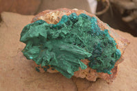 Natural Dioptase Specimen With Bladed Malachite & Azurite  x 1 From Likasi, Congo