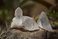 Natural Single Clear Quartz Crystals  x 70 From Zambia - TopRock